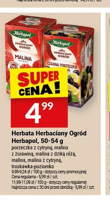 Herbata owocowa Herbapol Herbaciany Ogród promocja w Twój Market