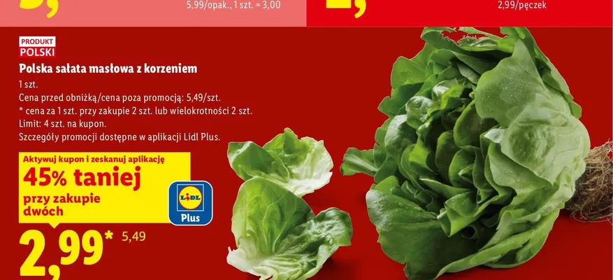 Sałata masłowa z korzeniem polska promocja w Lidl