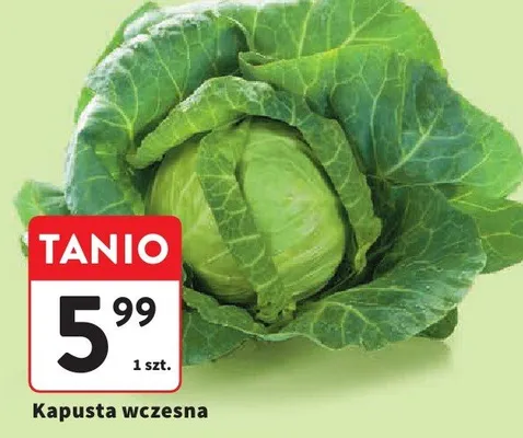 Kapusta wczesna promocja w Intermarche