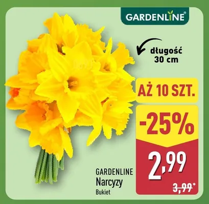 Narcyzy bukiet promocja w Aldi