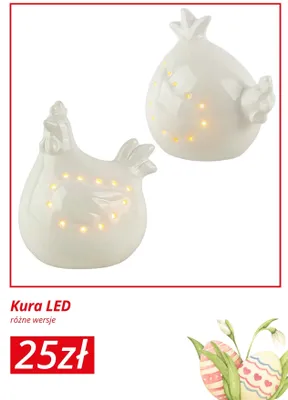 Kura LED różne wersje promocja w KiK