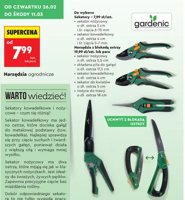 Sekator kowadełkowy dł. 4 cm promocja w Biedronka