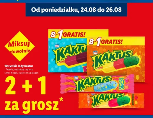 Lody Kaktus 9-pak promocja w Lidl