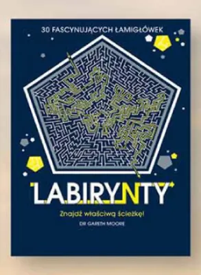 Książka Labirynty 30 fascynujących łamigłówek Dr Gareth Moore Biedronka promocja w Biedronka
