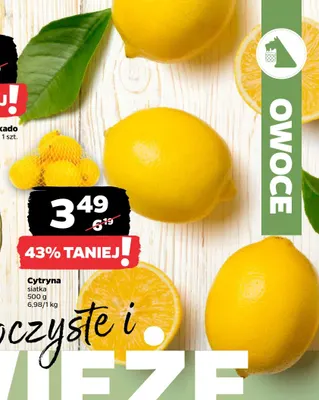 Cytryna w siatce promocja w Netto