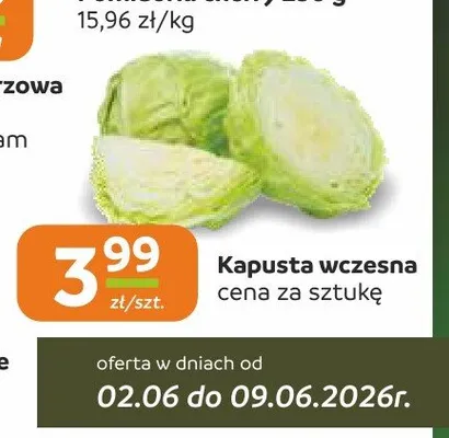 Kapusta wczesna promocja w Społem Częstochowa