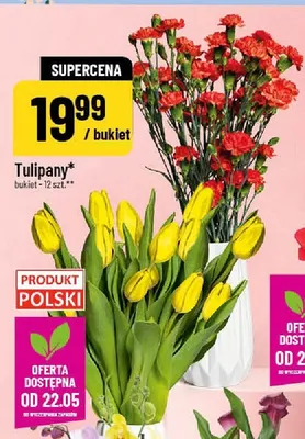 Tulipany bukiet 12szt. promocja w POLOmarket