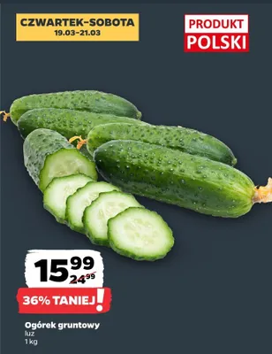 Ogórek gruntowy luz promocja w Netto