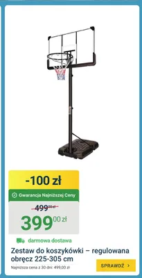 Zestaw do koszykówki regulowana obręcz 225-305 cm promocja w ERLI
