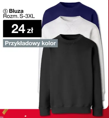 Bluza Rozm. S-3XL promocja w Woolworth