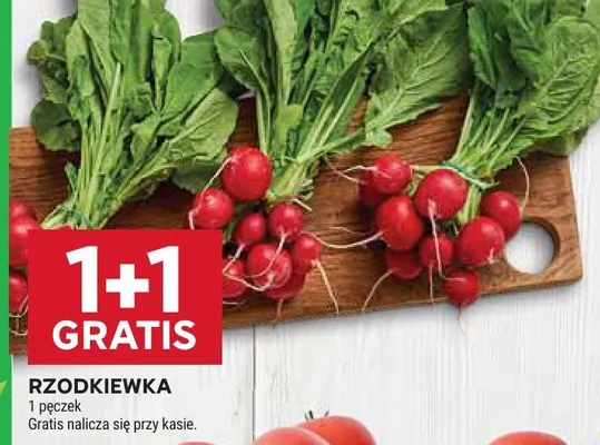 Rzodkiewka promocja w Stokrotka