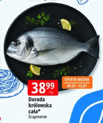 Dorada królewska cała Scapmaree promocja w Leclerc
