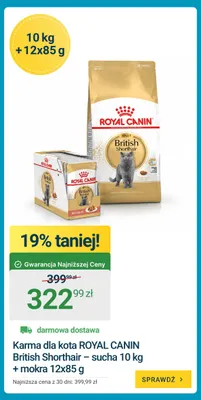 Karma dla kota Royal Canin British Shorthair – sucha 10 kg + mokra 12x85 g promocja w ERLI