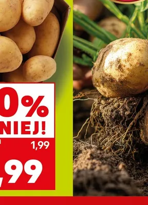 Ziemniaki młode promocja w Kaufland