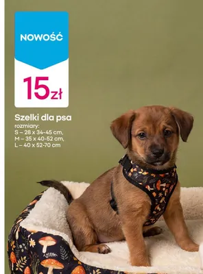 Szelki dla psa promocja w Pepco