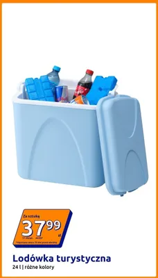 Lodówka turystyczna 24 l promocja w Action