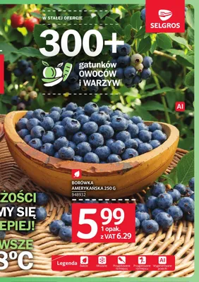 Borówka amerykańska promocja w Selgros
