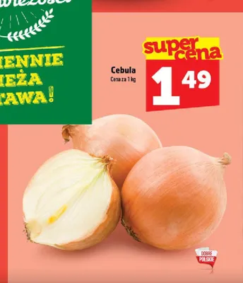 Cebula promocja w TOPAZ