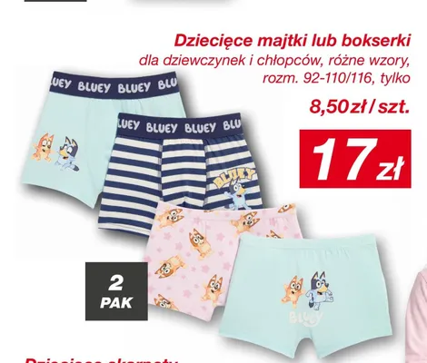 Dziecięce majtki Bluey 2-pak promocja w KiK
