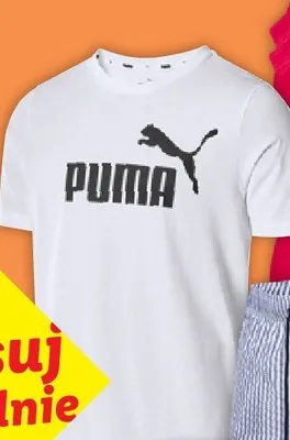 T-shirt sportowy Puma promocja w Lidl