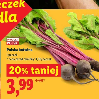 Botwina polska promocja w Lidl
