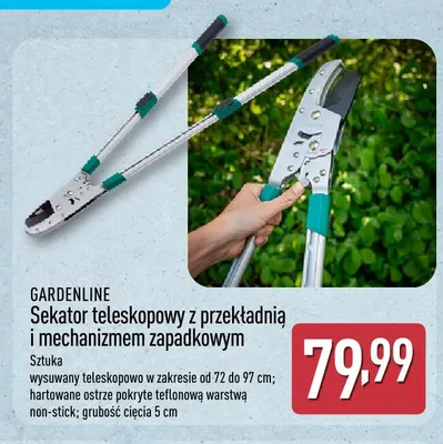 Sekator teleskopowy z przekładnią i mechanizmem zapadkowym Gardenline promocja w Aldi
