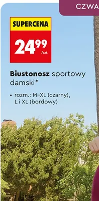 Biustonosz sportowy damski Cardio Bunny bordowy rozm. L i XL promocja w Biedronka