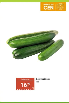 Ogórek zielony luz Dino promocja w Dino