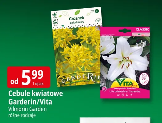 Cebule kwiatowe Garderin/Vita promocja w Leclerc