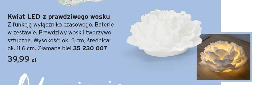 Kwiat LED z prawdziwego wosku promocja w Tchibo