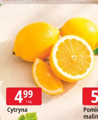 Cytryny promocja w Leclerc