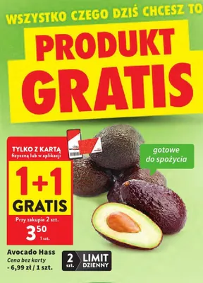 Avocado Hass promocja w Intermarche