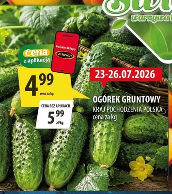 Ogórek gruntowy polski promocja w Arhelan