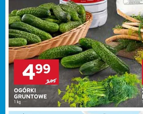 Ogórki gruntowe promocja w Stokrotka