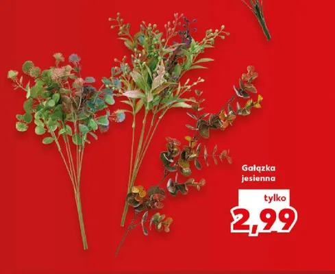 Gałązka jesienna promocja w Kaufland
