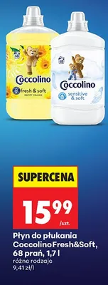 Płyn do płukania Coccolino Fresh&Soft promocja w Biedronka