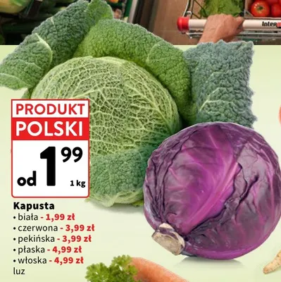Kapusta pekińska promocja w Intermarche
