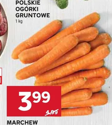 Marchew promocja w Stokrotka