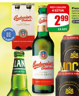 Piwo Budweiser Budvar promocja w Dino