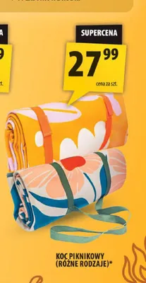 Koc piknikowy promocja w Arhelan