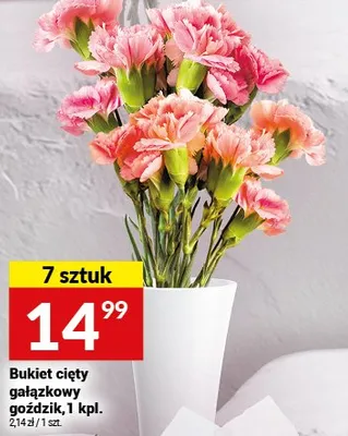Bukiet cięty goździk goździk promocja w Twój Market