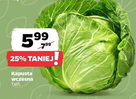 Kapusta wczesna luz promocja w Netto