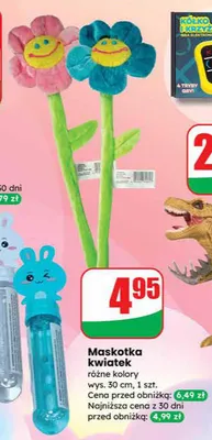 Maskotka kwiatek promocja w Dino
