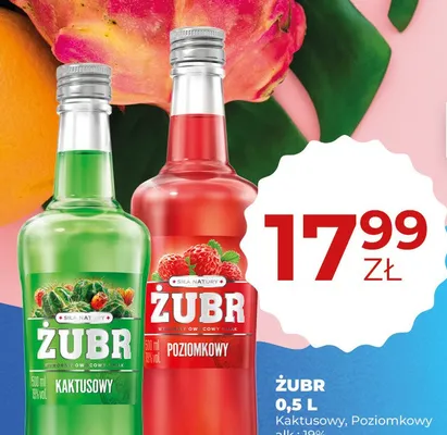 Likier Żubr Kaktusowy promocja w Duży Ben