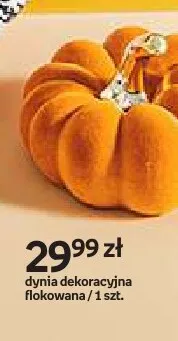 Dynia dekoracyjna flokowana mała Hello Autumn promocja w Empik