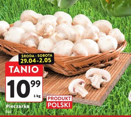 Pieczarka luz promocja w Intermarche