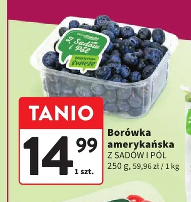 Borówka amerykańska Z Sadów i Pól promocja w Intermarche
