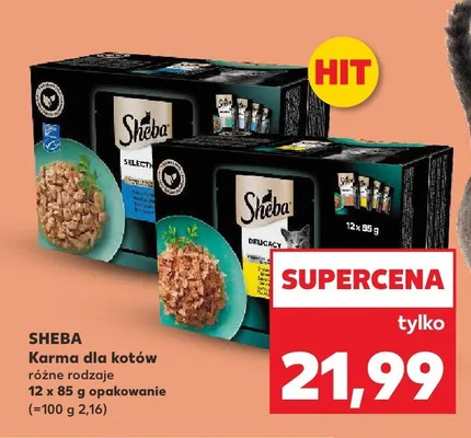 Karma dla kotów Sheba różne rodzaje promocja w Kaufland