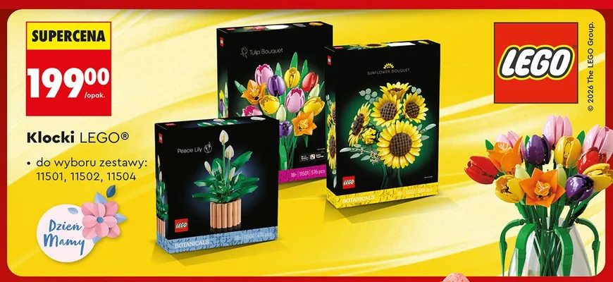 Klocki LEGO 11502 promocja w Biedronka