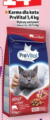 Karma dla kota PreVital 1,4 kg promocja w TOPAZ